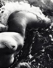 LUCIEN CLERGUE - Female Nude Body, 1968