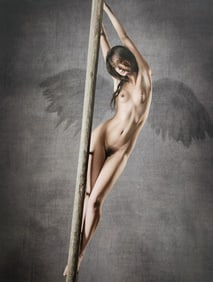 Stefan Soell, Beautiful Angels, 2015