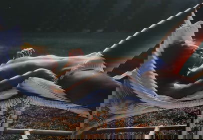 Herbert W. Hesselman 'Erotica' 2006