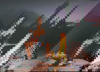 Herbert W. Hesselman 'Erotica' 2006