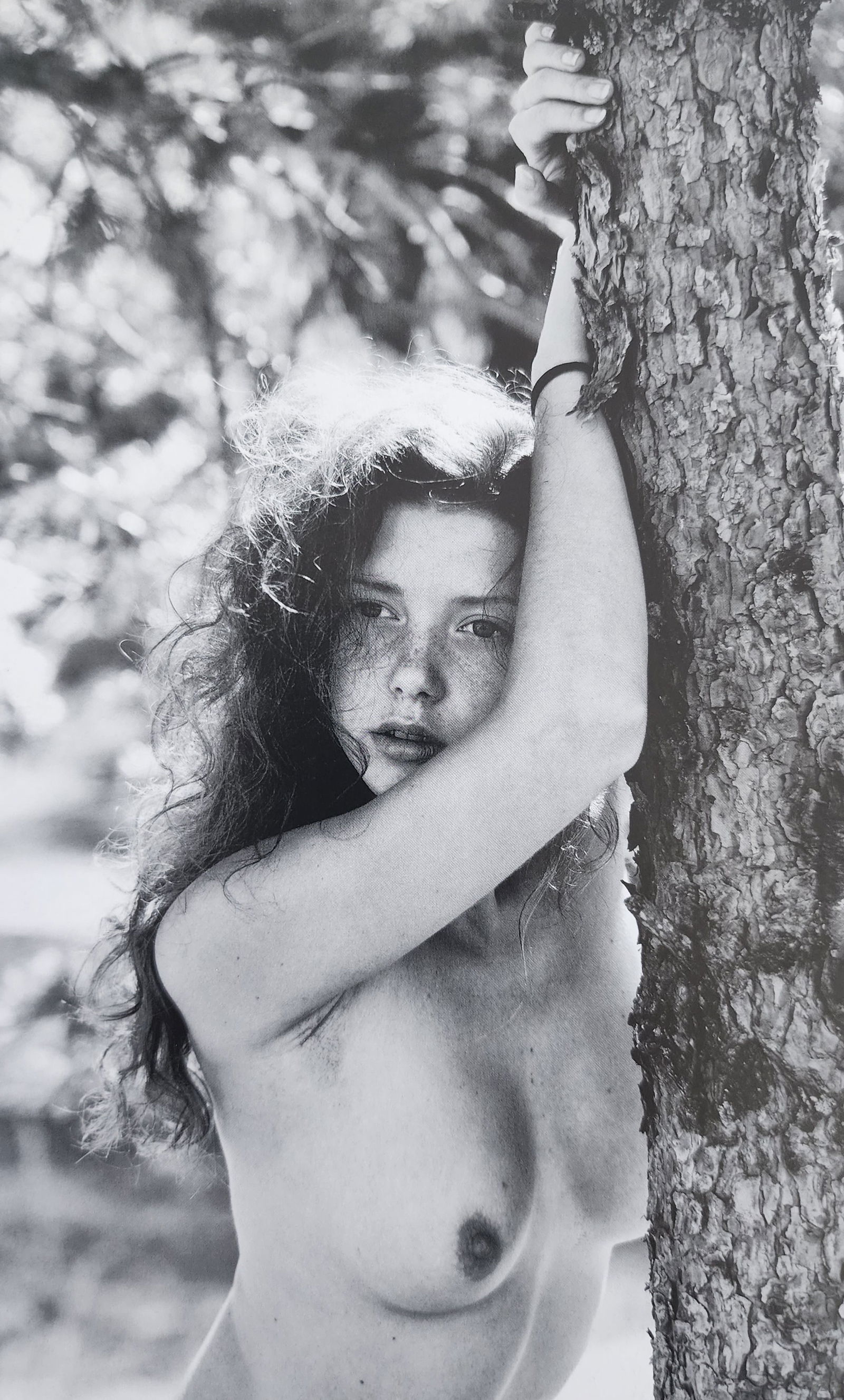 Mikhail Paramonov, Beautiful Lolitas, 2013 (1 of 1)