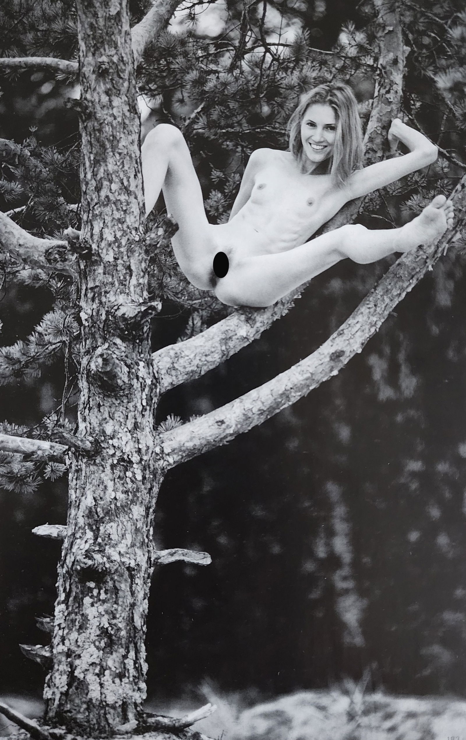 Mikhail Paramonov, Beautiful Lolitas, 2013 (1 of 1)