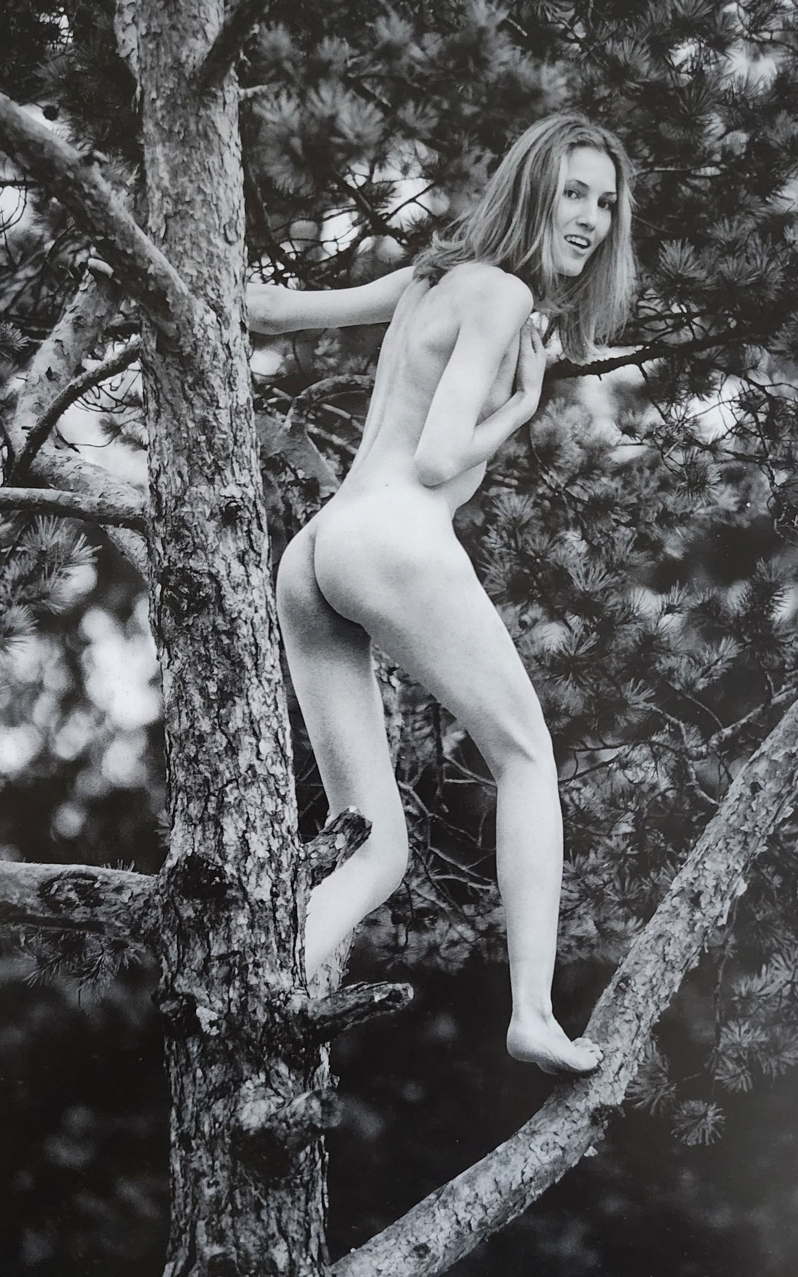 Mikhail Paramonov, Beautiful Lolitas, 2013 (1 of 1)