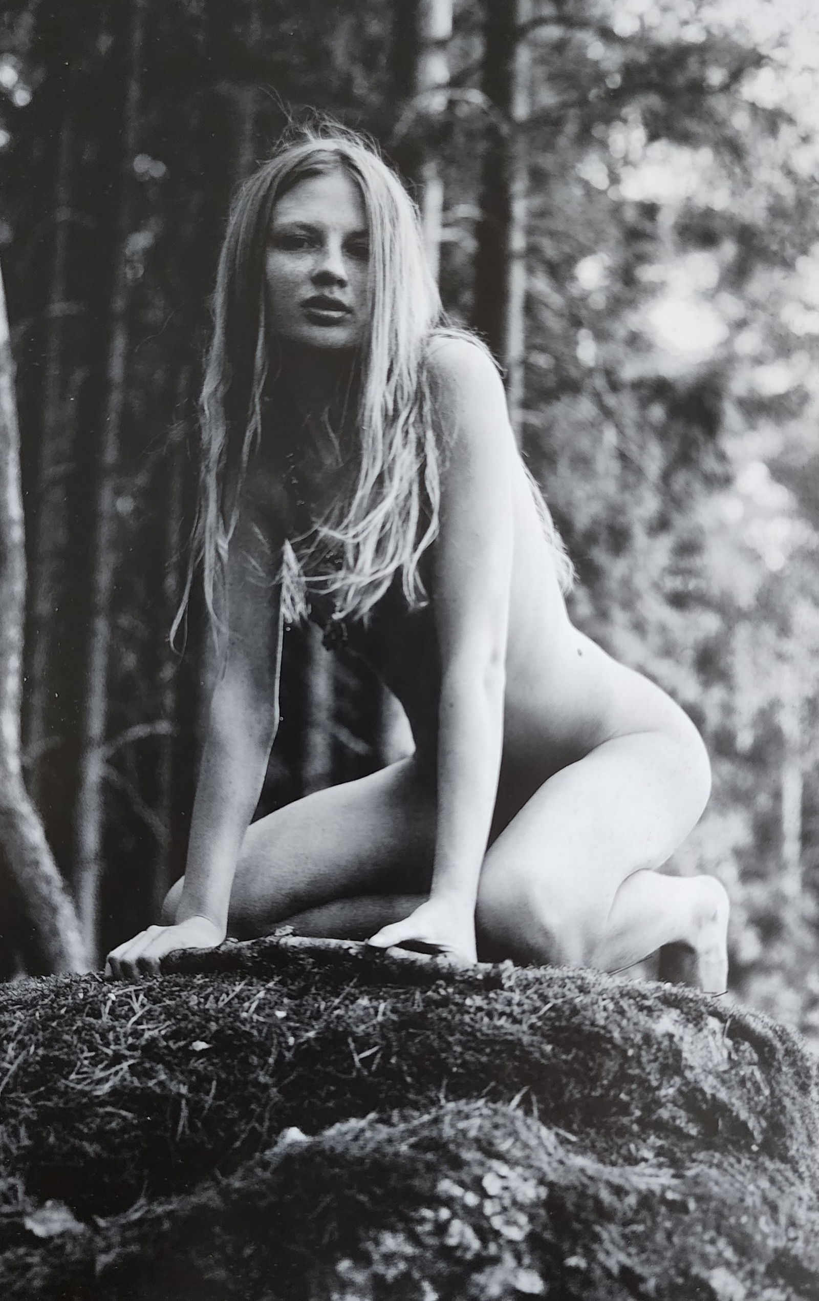 Mikhail Paramonov, Beautiful Lolitas, 2013 (1 of 1)