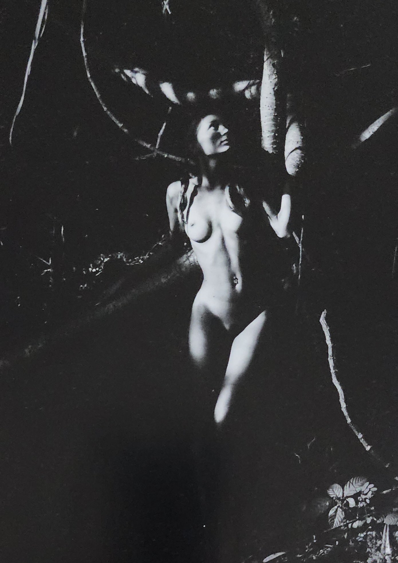 Mikhail Paramonov, Beautiful Lolitas, 2013 (1 of 1)