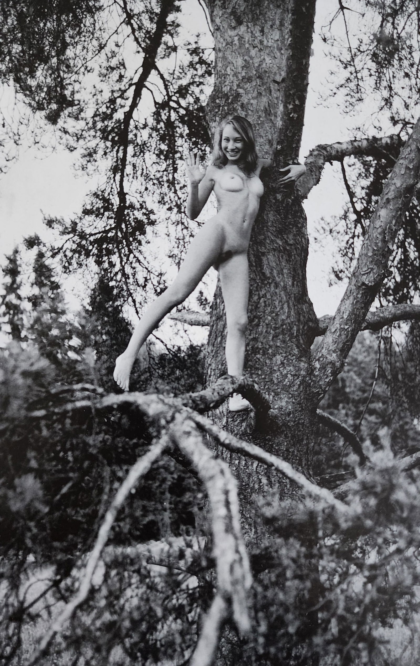 Mikhail Paramonov, Beautiful Lolitas, 2013 (1 of 1)