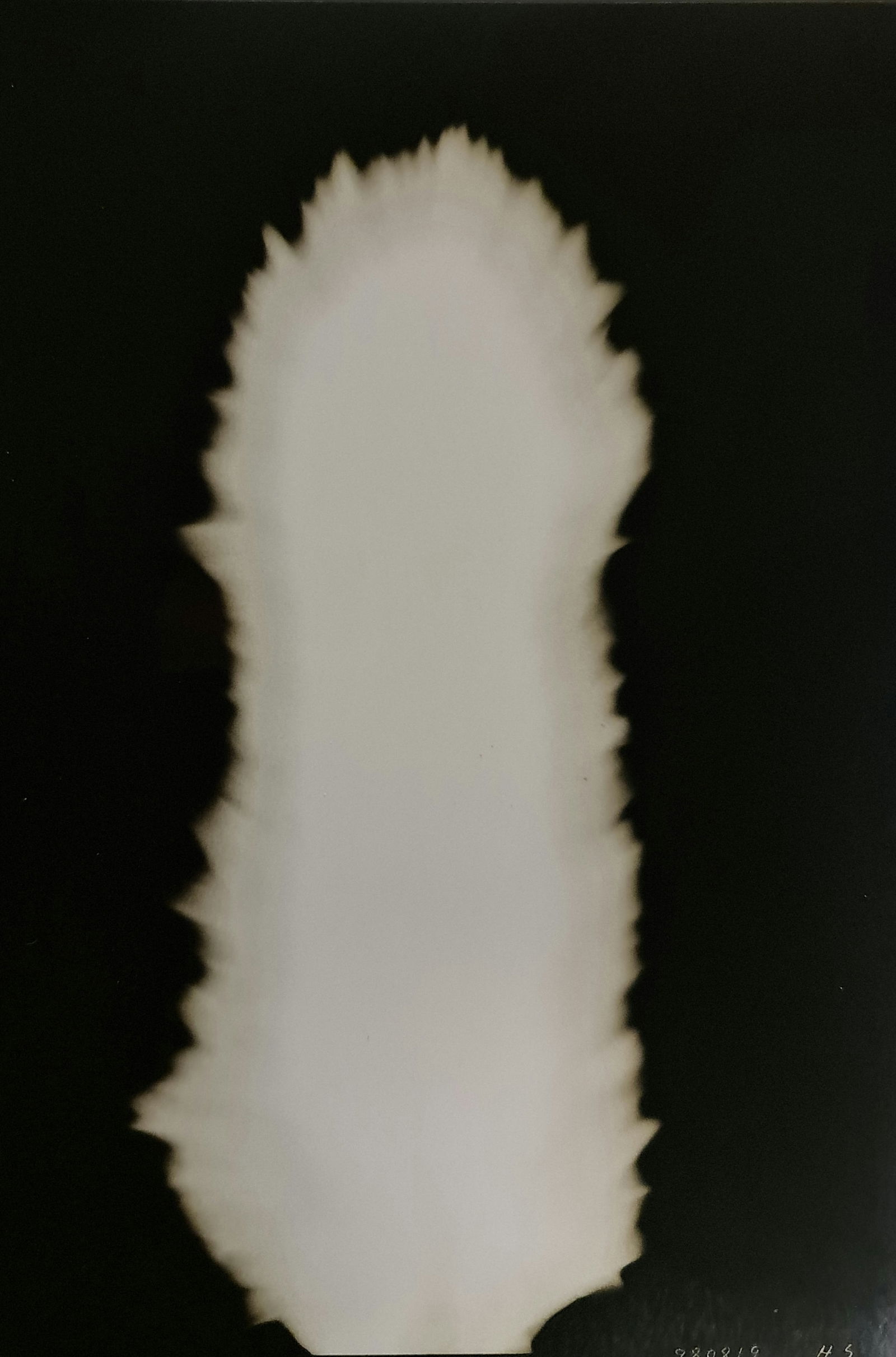 Hiroshi Sugimoto, In Praise of shadows, 980819: Artist Name: Hiroshi Sugimoto Size: 8.5 X 6 Type:First Edition. Print Year:1999 Printer: Korinsha Press Domesticating fire marks humankind's ascendancy over other species. For tens of thousands of yea