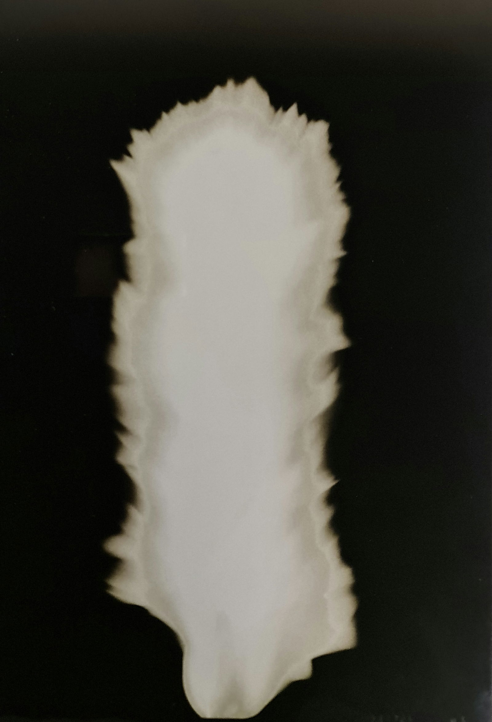 Hiroshi Sugimoto, In Praise of shadows, 980726: Artist Name: Hiroshi Sugimoto Size: 8.5 X 6 Type:First Edition. Print Year:1999 Printer: Korinsha Press Domesticating fire marks humankind's ascendancy over other species. For tens of thousands of yea