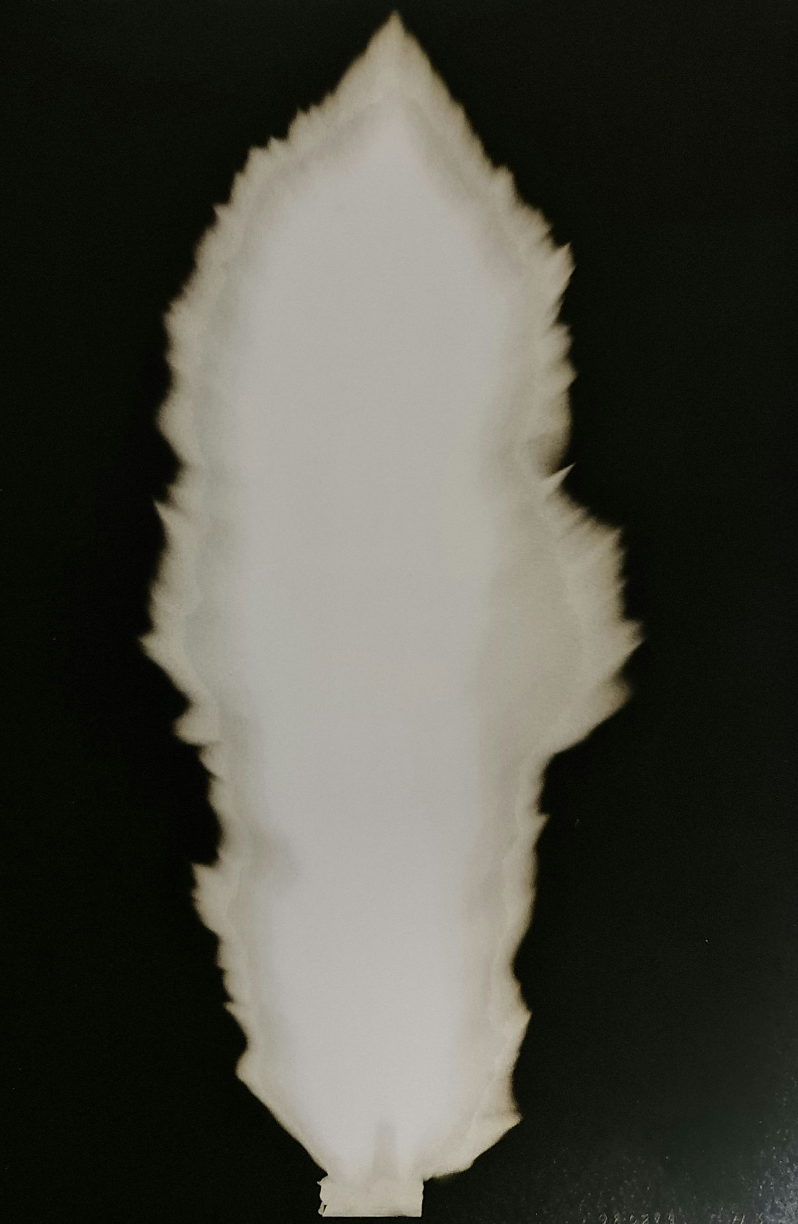 Hiroshi Sugimoto, In Praise of shadows, 980815: Artist Name: Hiroshi Sugimoto Size: 8.5 X 6 Type:First Edition. Print Year:1999 Printer: Korinsha Press Domesticating fire marks humankind's ascendancy over other species. For tens of thousands of yea