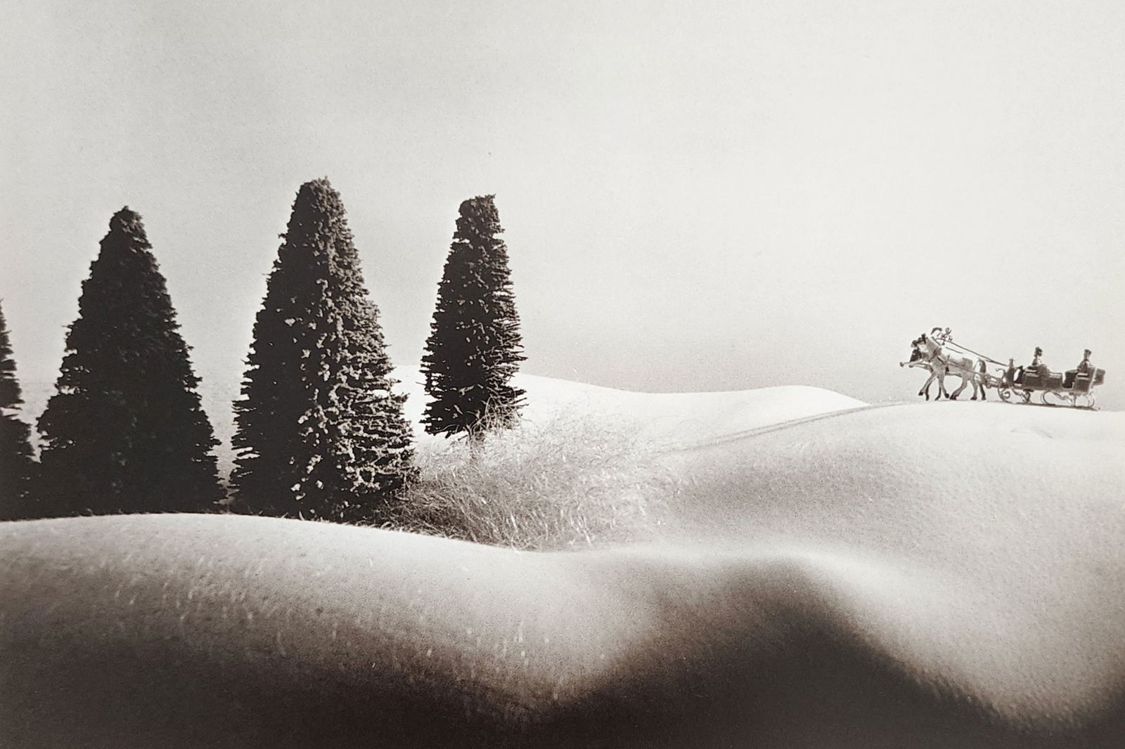 Allan Teger 'Bodyscapes I' 1995: Artist/Photographer: Allan I. Teger Title/Subject: Bodyscapes Type Of Print: Authentic Sheet Fed Photogravure/Heliogravure. Date Of Print: 2012 Paper: Medium weight, satin/matte finish. Print Origin: