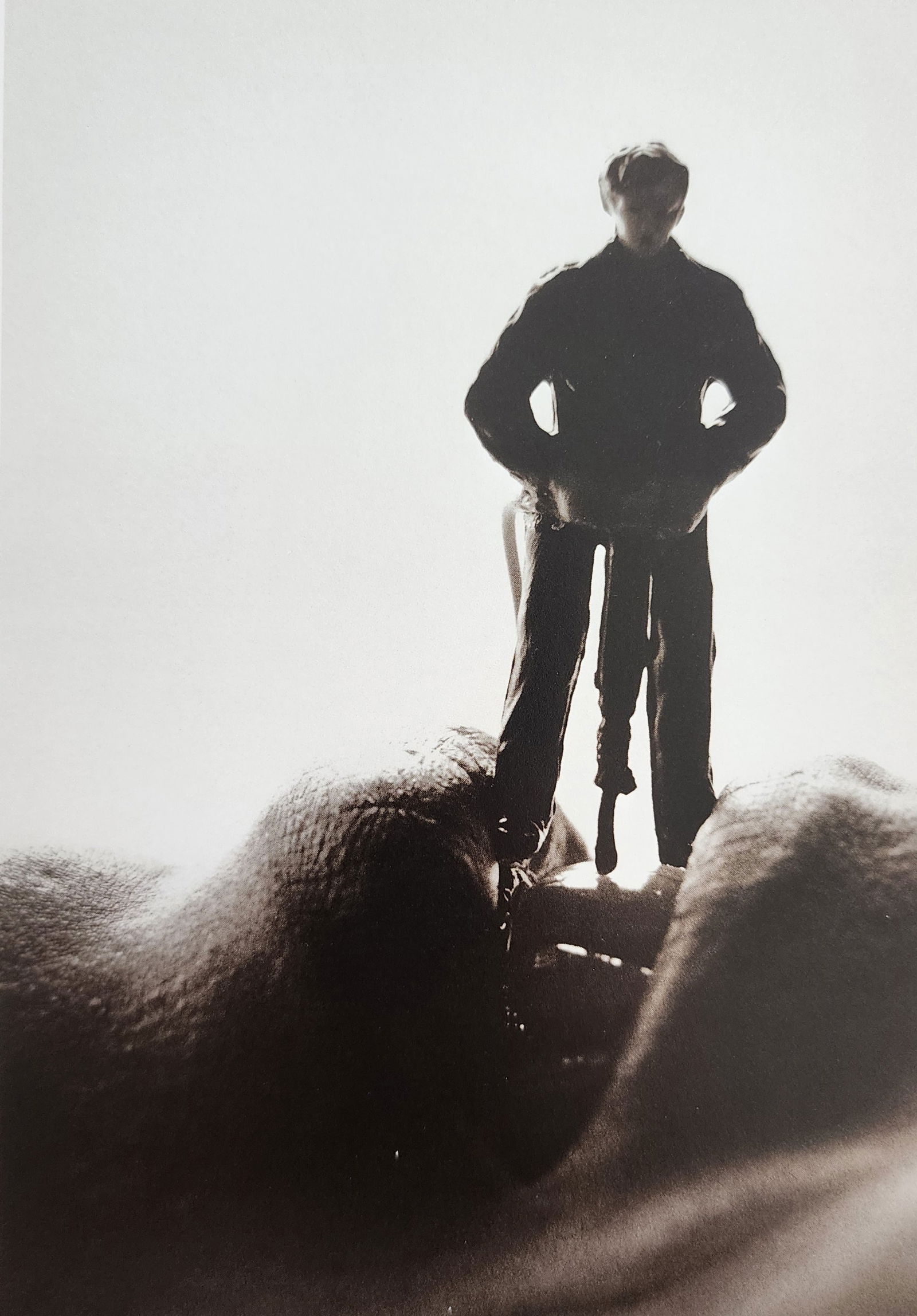 Allan Teger 'Bodyscapes I' 1995: Artist/Photographer: Allan I. Teger Title/Subject: Bodyscapes Type Of Print: Authentic Sheet Fed Photogravure/Heliogravure. Date Of Print: 2012 Paper: Medium weight, satin/matte finish. Print Origin: