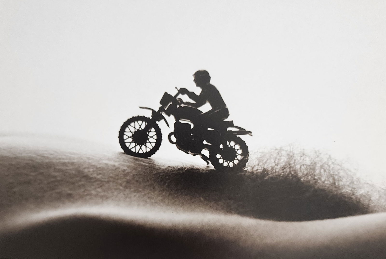 Allan Teger 'Bodyscapes I' 1995: Artist/Photographer: Allan I. Teger Title/Subject: Bodyscapes Type Of Print: Authentic Sheet Fed Photogravure/Heliogravure. Date Of Print: 2012 Paper: Medium weight, satin/matte finish. Print Origin: