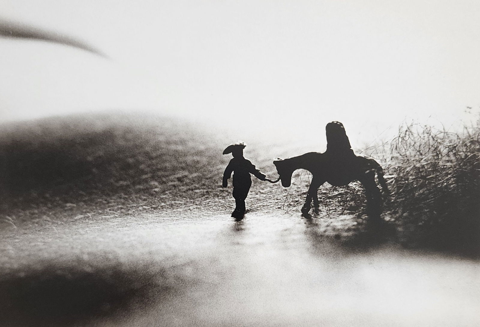 Allan Teger 'Bodyscapes I' 1995: Artist/Photographer: Allan I. Teger Title/Subject: Bodyscapes Type Of Print: Authentic Sheet Fed Photogravure/Heliogravure. Date Of Print: 2012 Paper: Medium weight, satin/matte finish. Print Origin: