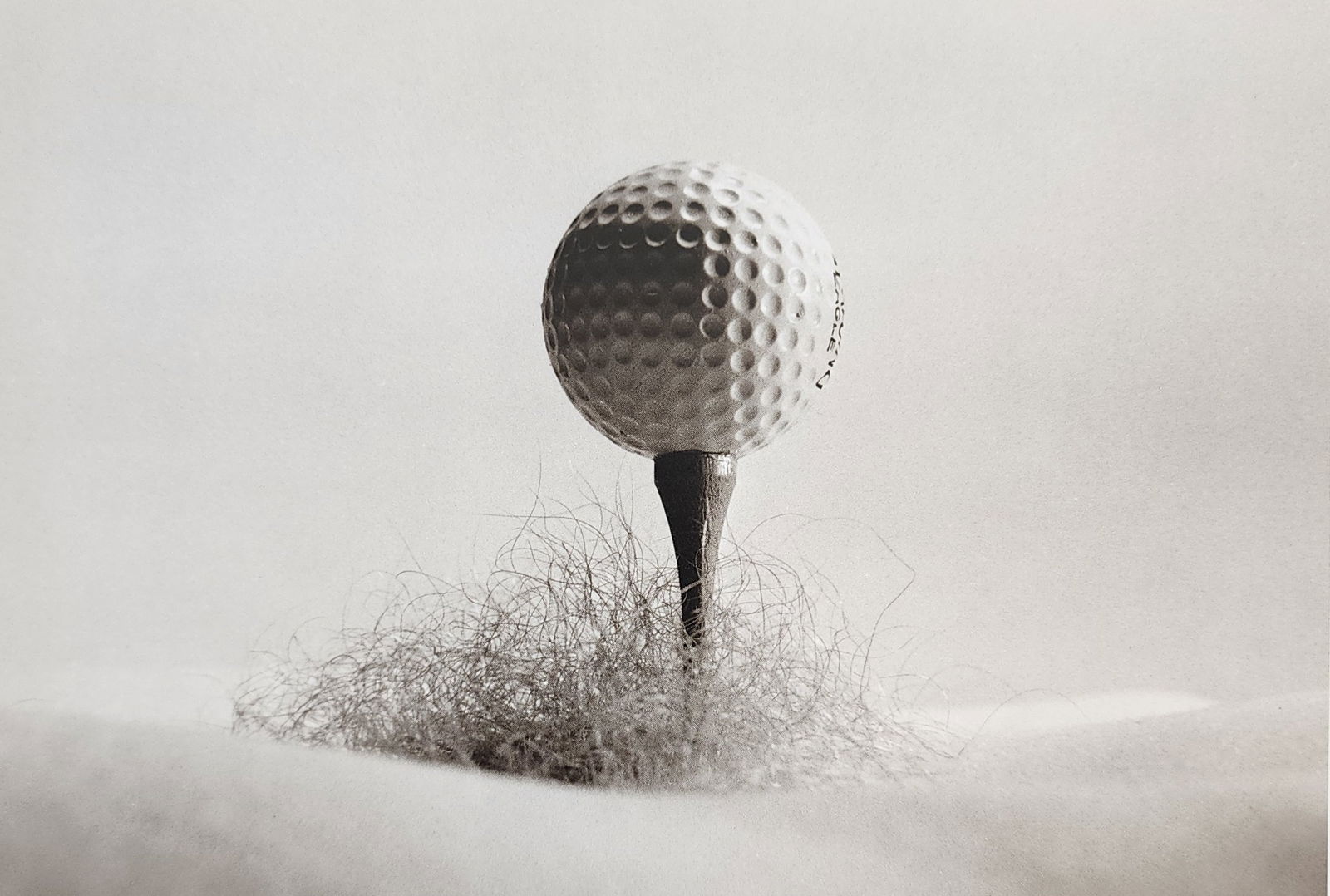 Allan Teger 'Bodyscapes I' 1995: Artist/Photographer: Allan I. Teger Title/Subject: Bodyscapes Type Of Print: Authentic Sheet Fed Photogravure/Heliogravure. Date Of Print: 2012 Paper: Medium weight, satin/matte finish. Print Origin: