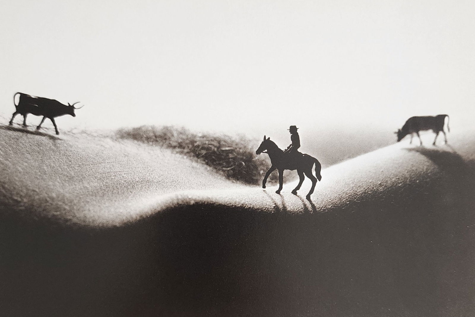 Allan Teger 'Bodyscapes I' 1995: Artist/Photographer: Allan I. Teger Title/Subject: Bodyscapes Type Of Print: Authentic Sheet Fed Photogravure/Heliogravure. Date Of Print: 2012 Paper: Medium weight, satin/matte finish. Print Origin: