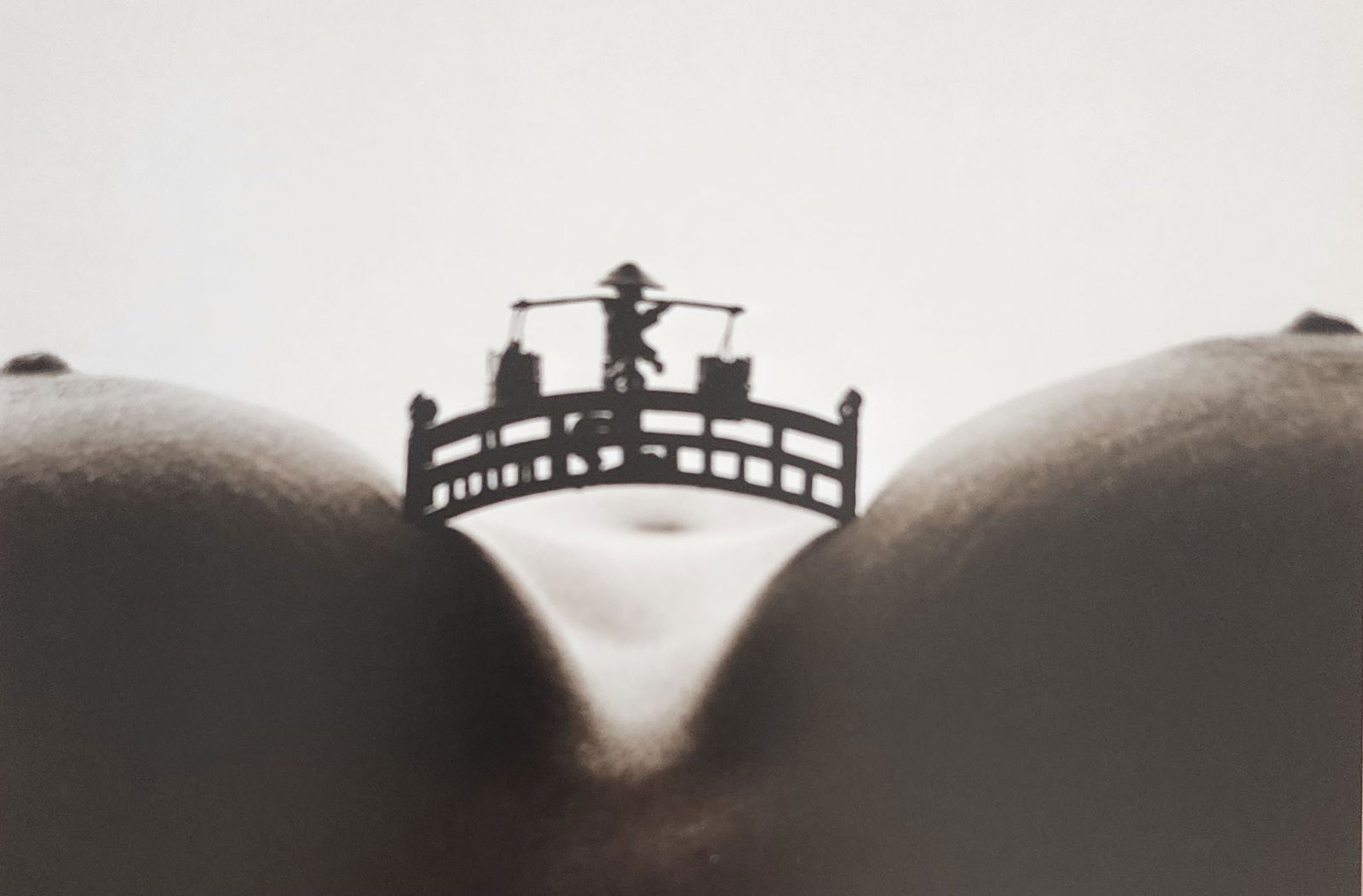 Allan Teger 'Bodyscapes I' 1995: Artist/Photographer: Allan I. Teger Title/Subject: Bodyscapes Type Of Print: Authentic Sheet Fed Photogravure/Heliogravure. Date Of Print: 2012 Paper: Medium weight, satin/matte finish. Print Origin: