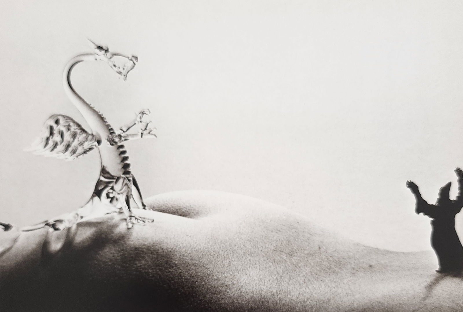 Allan Teger 'Bodyscapes I' 1995: Artist/Photographer: Allan I. Teger Title/Subject: Bodyscapes Type Of Print: Authentic Sheet Fed Photogravure/Heliogravure. Date Of Print: 2012 Paper: Medium weight, satin/matte finish. Print Origin: