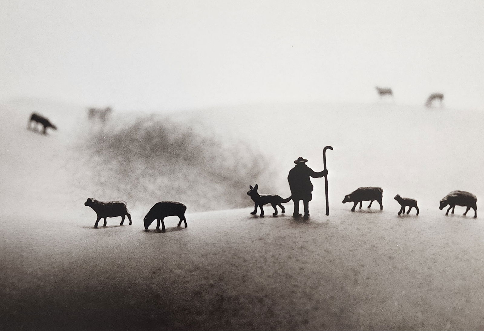 Allan Teger 'Bodyscapes I' 1995: Artist/Photographer: Allan I. Teger Title/Subject: Bodyscapes Type Of Print: Authentic Sheet Fed Photogravure/Heliogravure. Date Of Print: 2012 Paper: Medium weight, satin/matte finish. Print Origin: