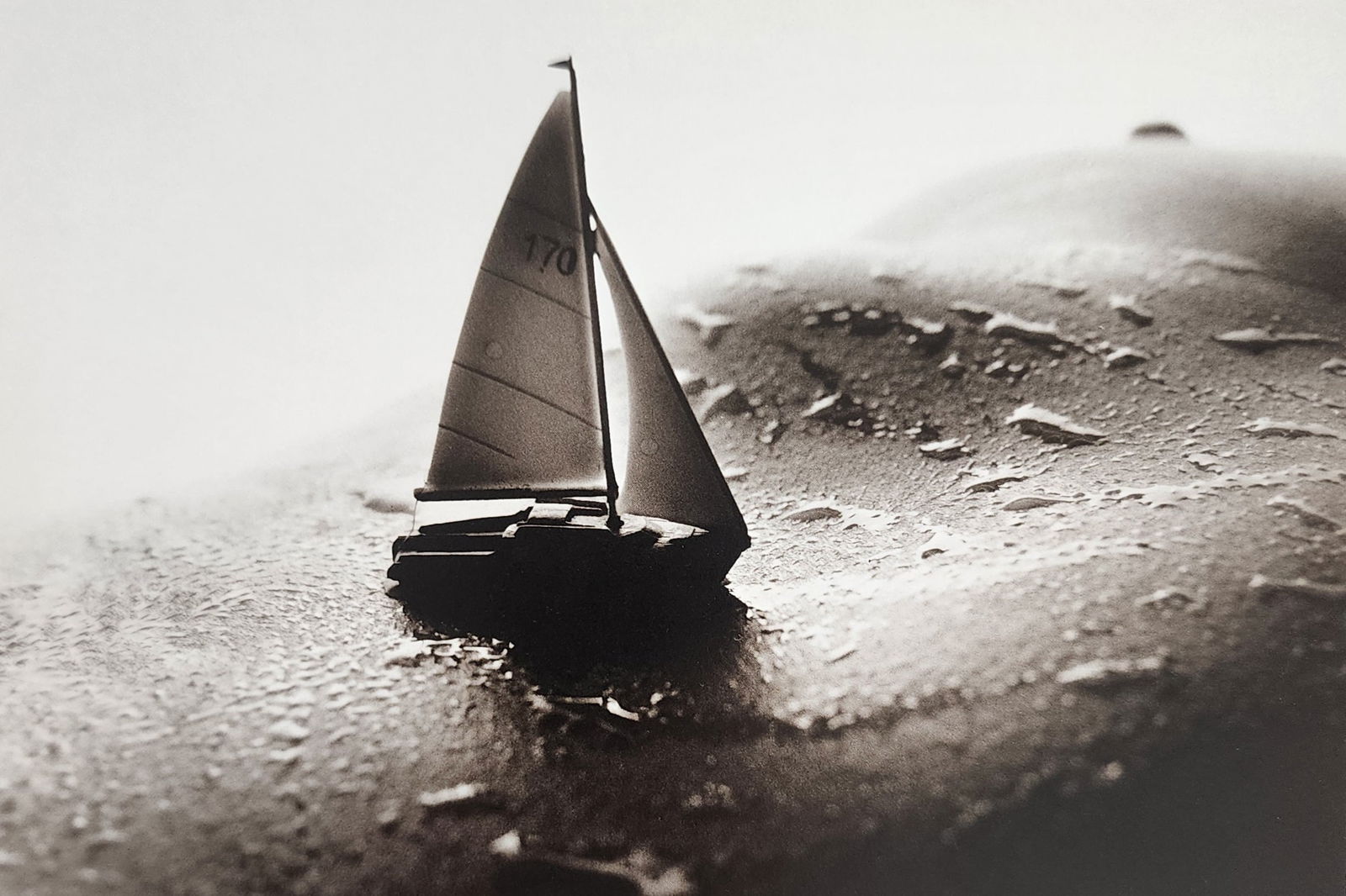 Allan Teger 'Bodyscapes I' 1995: Artist/Photographer: Allan I. Teger Title/Subject: Bodyscapes Type Of Print: Authentic Sheet Fed Photogravure/Heliogravure. Date Of Print: 2012 Paper: Medium weight, satin/matte finish. Print Origin: