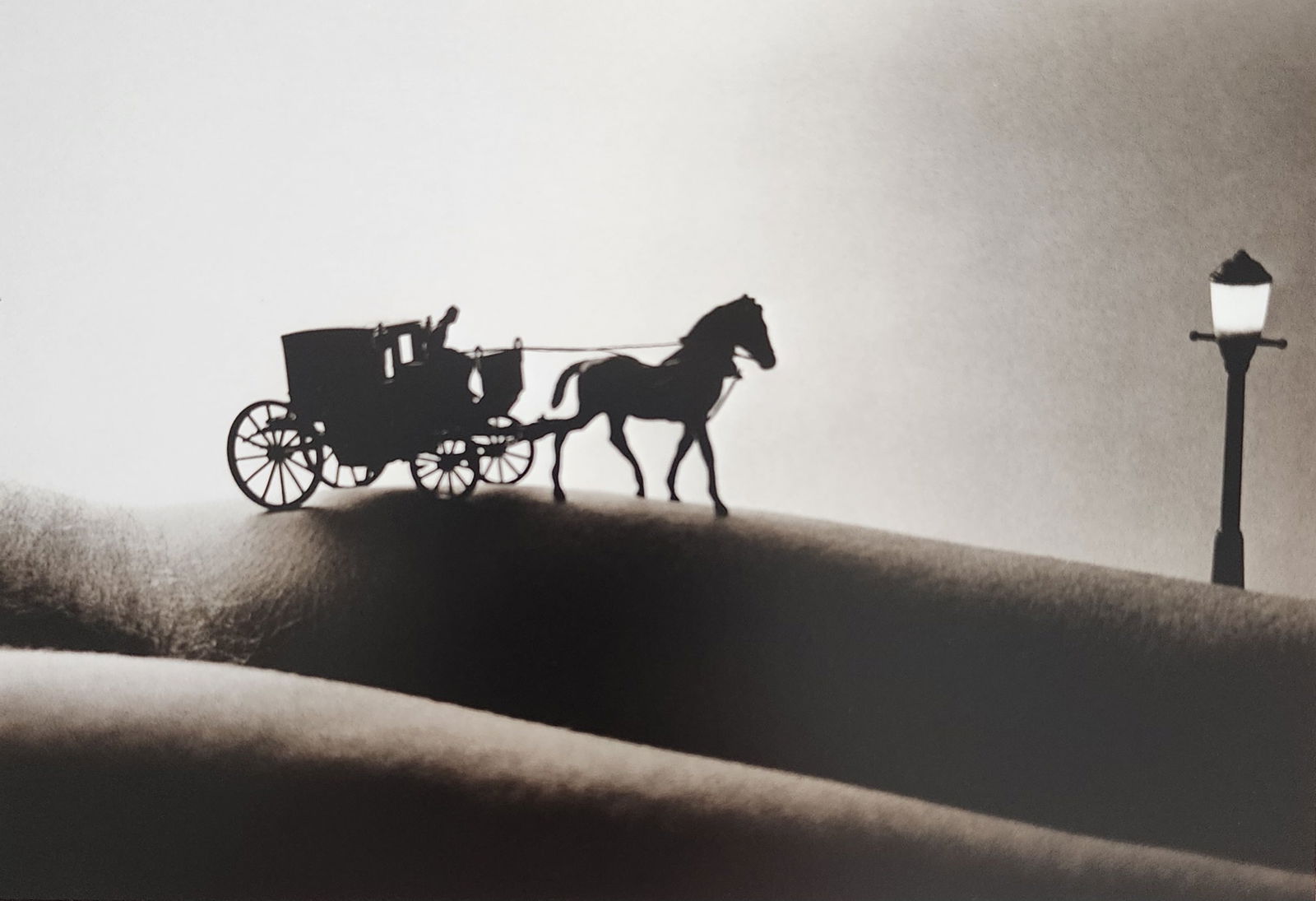 Allan Teger 'Bodyscapes I' 1995: Artist/Photographer: Allan I. Teger Title/Subject: Bodyscapes Type Of Print: Authentic Sheet Fed Photogravure/Heliogravure. Date Of Print: 2012 Paper: Medium weight, satin/matte finish. Print Origin: