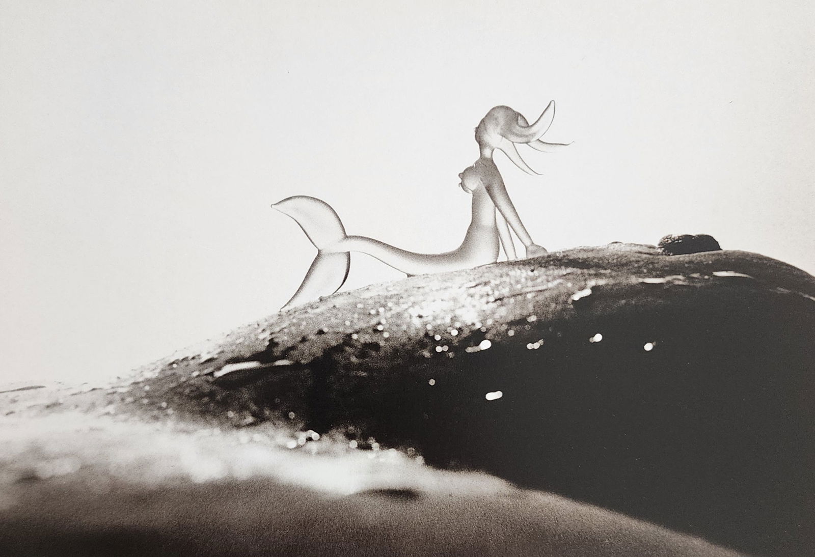 Allan Teger 'Bodyscapes I' 1995: Artist/Photographer: Allan I. Teger Title/Subject: Bodyscapes Type Of Print: Authentic Sheet Fed Photogravure/Heliogravure. Date Of Print: 2012 Paper: Medium weight, satin/matte finish. Print Origin: