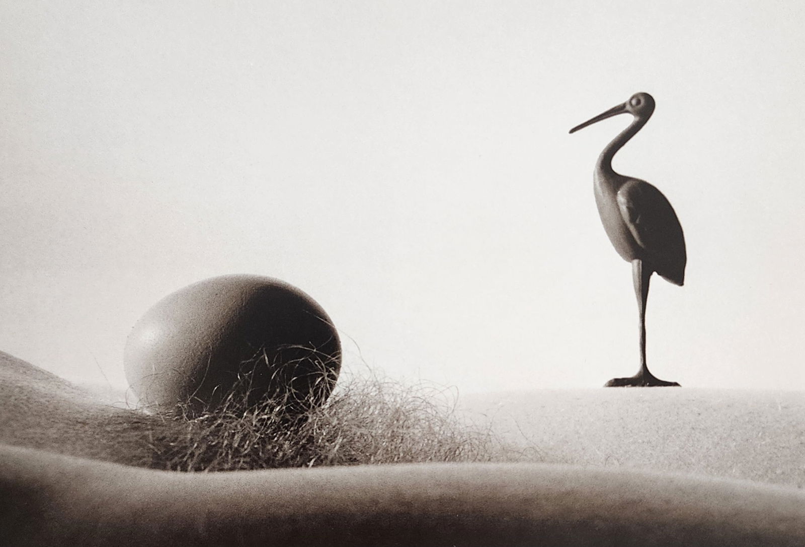 Allan Teger 'Bodyscapes I' 1995: Artist/Photographer: Allan I. Teger Title/Subject: Bodyscapes Type Of Print: Authentic Sheet Fed Photogravure/Heliogravure. Date Of Print: 2012 Paper: Medium weight, satin/matte finish. Print Origin: