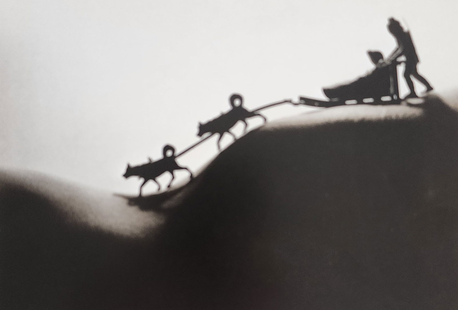 Allan Teger 'Bodyscapes I' 1995: Artist/Photographer: Allan I. Teger Title/Subject: Bodyscapes Type Of Print: Authentic Sheet Fed Photogravure/Heliogravure. Date Of Print: 2012 Paper: Medium weight, satin/matte finish. Print Origin: