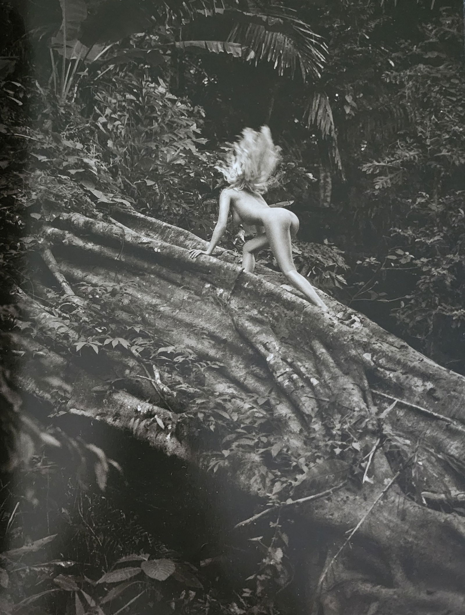 Andreas H. Bitesnich, Woman 2001: Photographer: Andreas H. Bitesnich is an Austrian photographer and musician. He specializes in nude and portrait photography. His work appears regularly in international magazines. Title/Subject: Woma