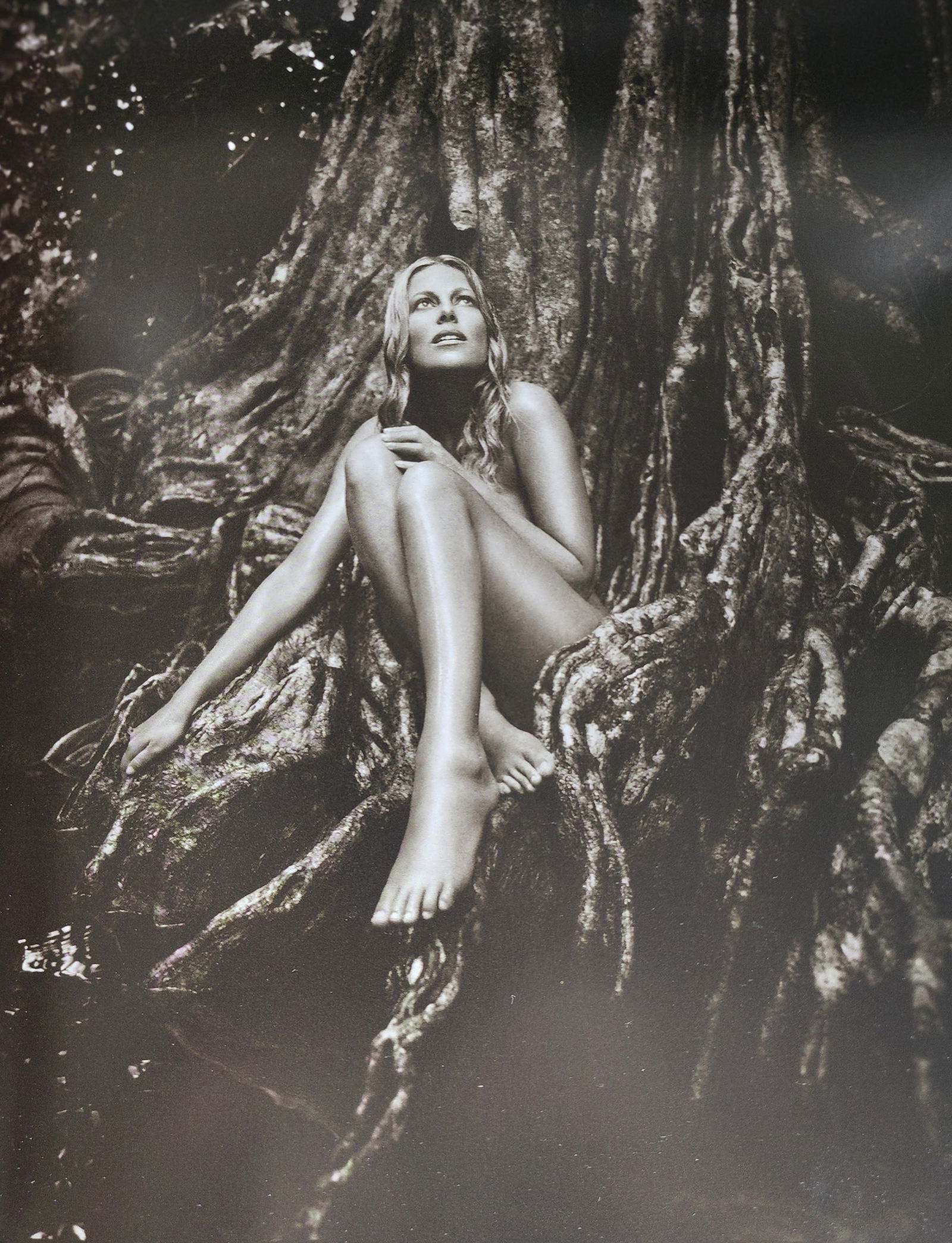 Andreas H. Bitesnich, Woman 2001: Photographer: Andreas H. Bitesnich is an Austrian photographer and musician. He specializes in nude and portrait photography. His work appears regularly in international magazines. Title/Subject: Woma