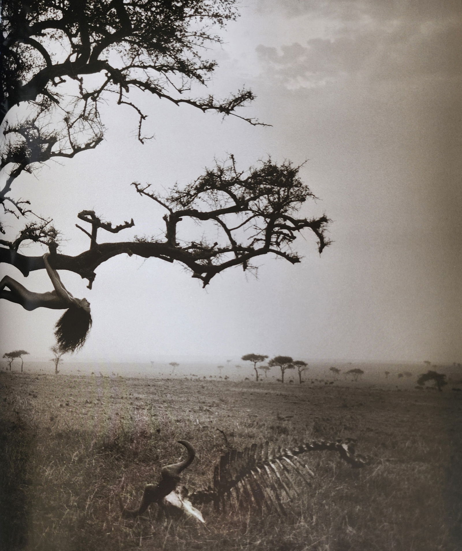 Andreas H. Bitesnich, Woman 2001: Photographer: Andreas H. Bitesnich is an Austrian photographer and musician. He specializes in nude and portrait photography. His work appears regularly in international magazines. Title/Subject: Woma