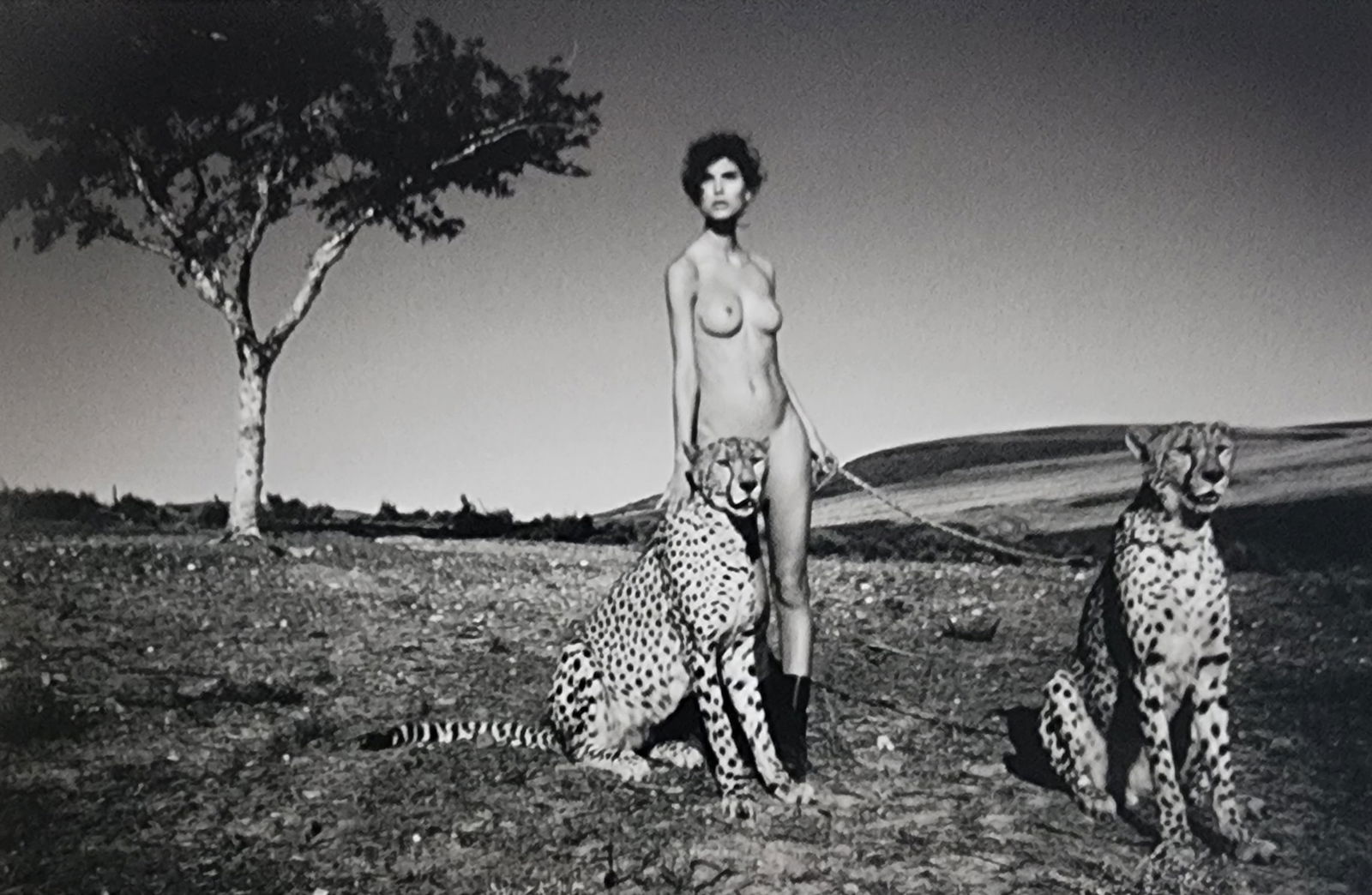 Bjarke Johansen, Top Danish Models, 2015 (1 of 1)