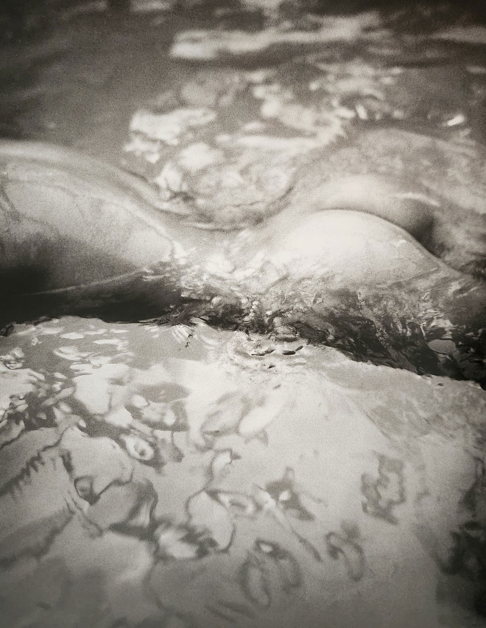 Vincent Peters 'Beautiful Woman' 2016: Photographer: Vincent Peters Title/Subject: Beautiful Woman Type Of Print: Authentic Sheet Fed Photogravure/Heliogravure. Date Of Print: 2016 Paper: Medium weight, satin/matte finish. Print Origin: It