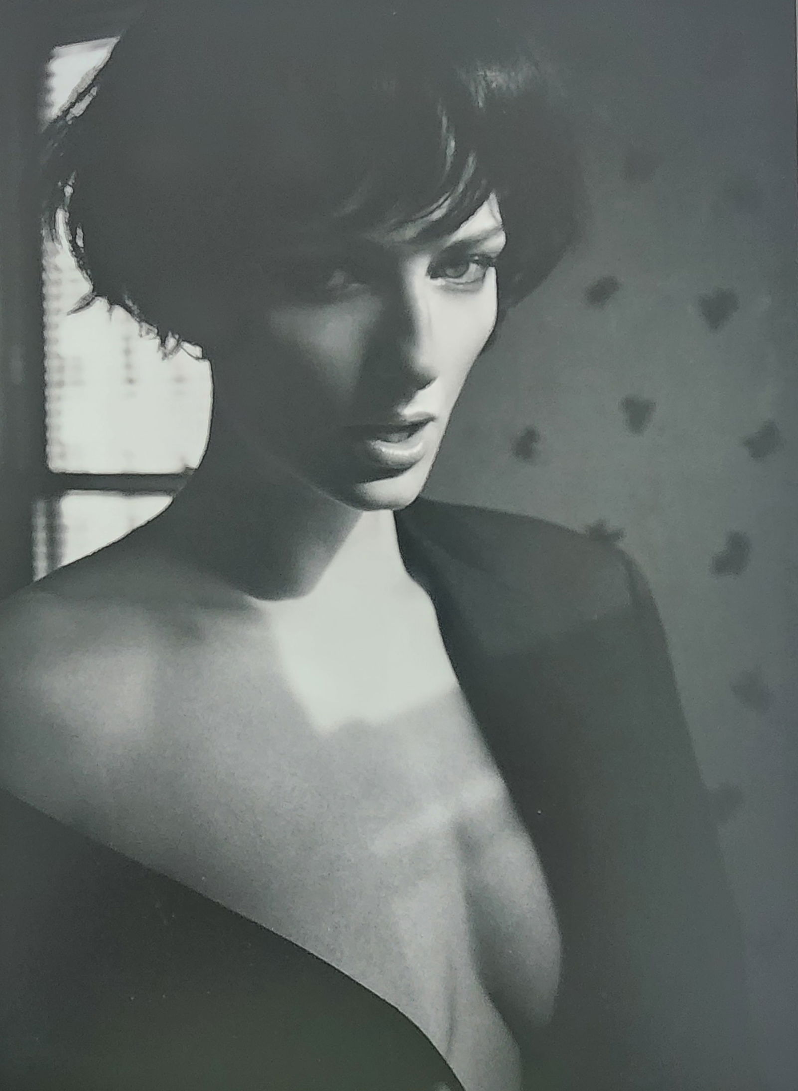 Bjarke Johansen, Top Danish Models, 2015: Artist/Photographer: Bjarke Johansen Title/Subject: Top Danish Models Type Of Print: Authentic Sheet Fed Photogravure/Heliogravure. Date Of Print: 2015 Paper: Medium weight, satin/matte finish. Print