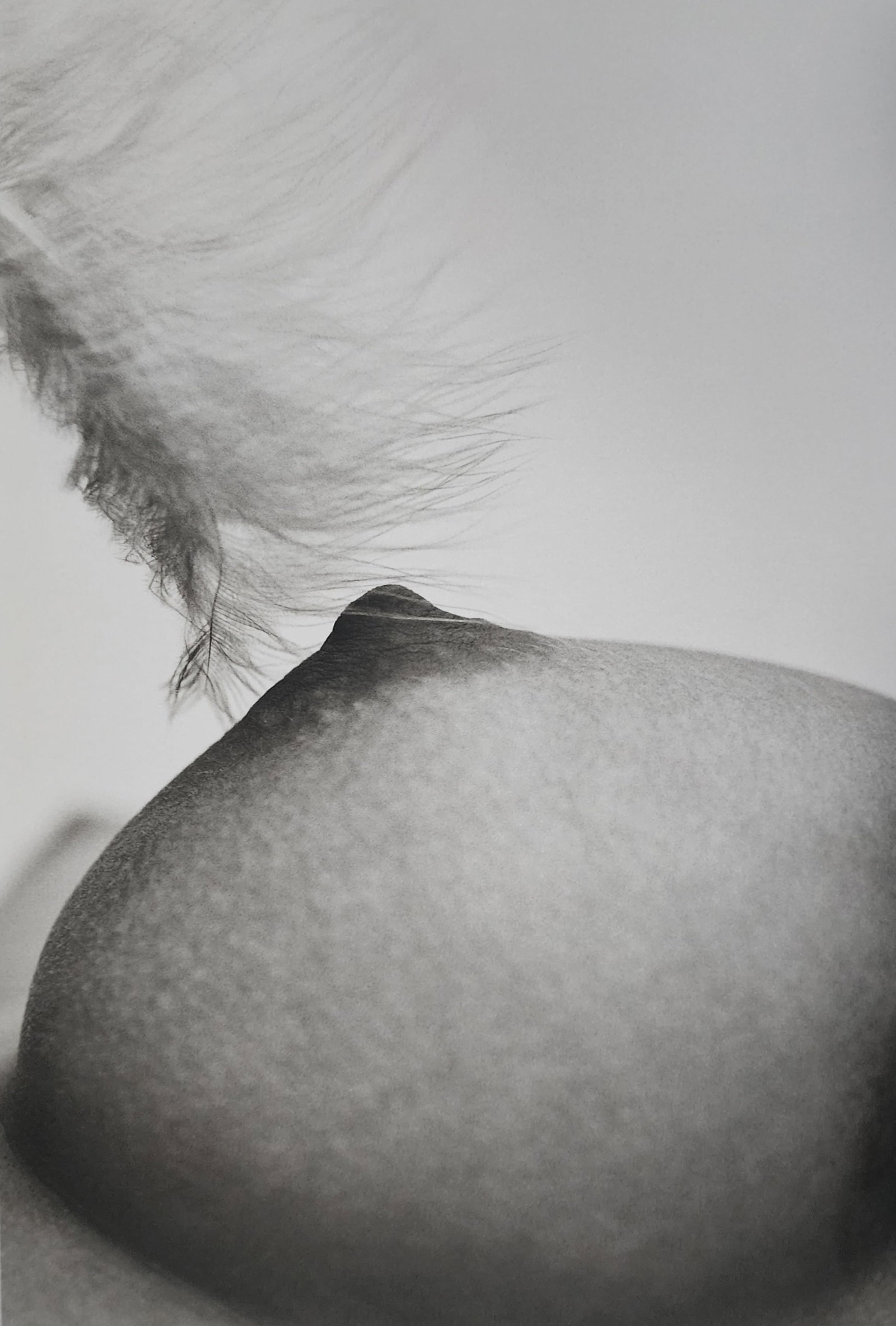 Stefan May 'Explicit' 2008: Artist/Photographer: Stefan May Title/Subject: Explicit Type Of Print: Authentic Sheet Fed Photogravure/Heliogravure. Date Of Print: 2008 Paper: Medium weight, satin/matte finish. Print Origin: Italy