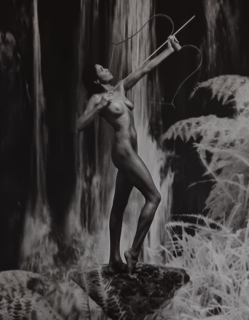 Vincent O'Byrne 'Exotic Fantasy' 2005: Artist/Photographer: Vincent O'Byrne Title/Subject: Exotic Fantasy' 2005 Type Of Print: Authentic Sheet Fed Photogravure/Heliogravure. Paper: Medium weight, satin/matte finish. Print Origin: USA Appro