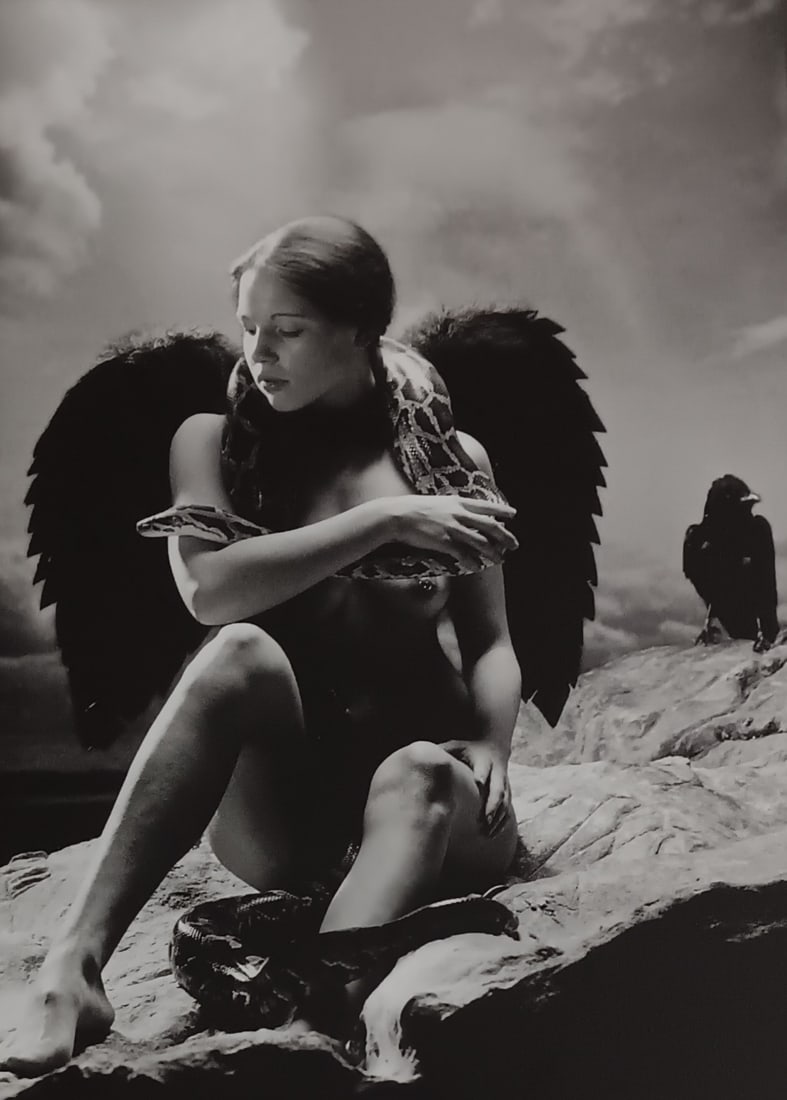 Wolf Muller Funke 'Exotic Fantasy' 2005 (1 of 1)