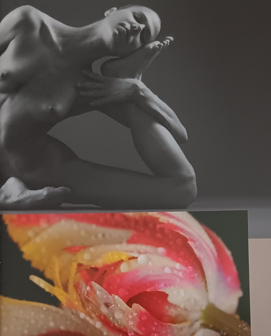 Beat a Von Weissenfluh 'Exotic Fantasy' 2005 (1 of 1)