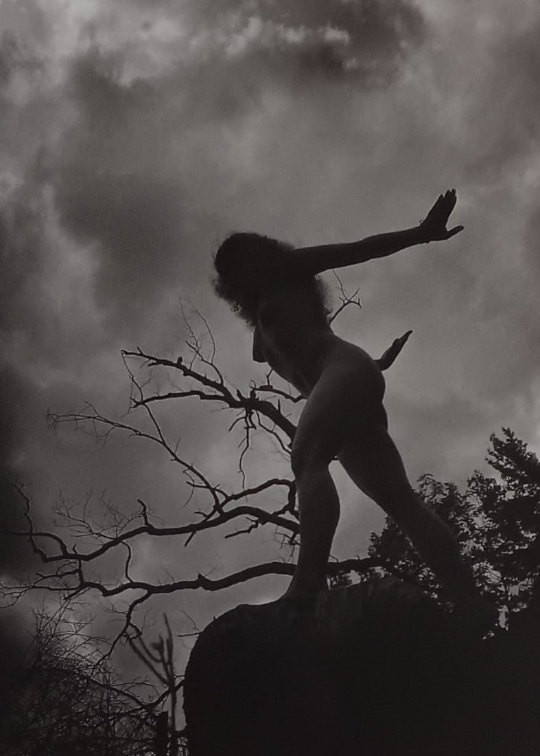 Bjorn Oldsen 'Exotic Fantasy' 2005: Artist/Photographer: Bjorn Oldsen Title/Subject: Exotic Fantasy Type Of Print: Authentic Sheet Fed Photogravure/Heliogravure. Date Of Print: 2005 Paper: Medium weight, satin/matte finish. Print Origin