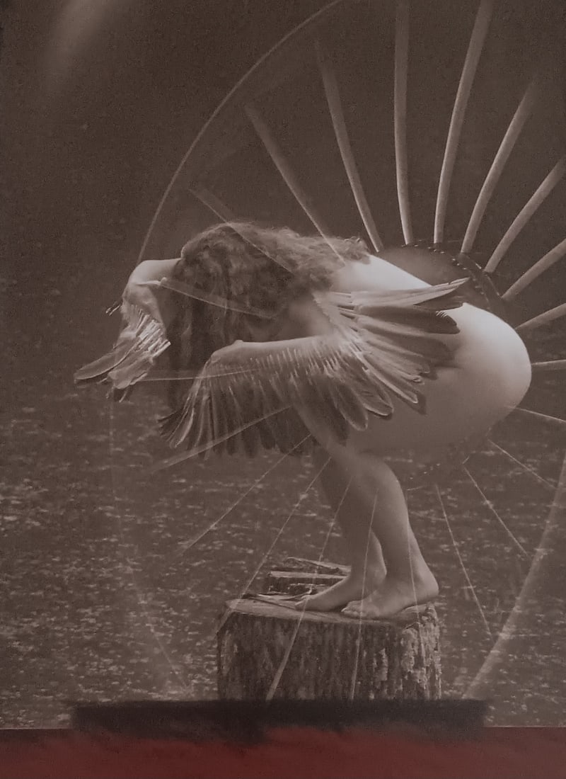 Bjorn Oldsen 'Exotic Fantasy' 2005 (1 of 1)