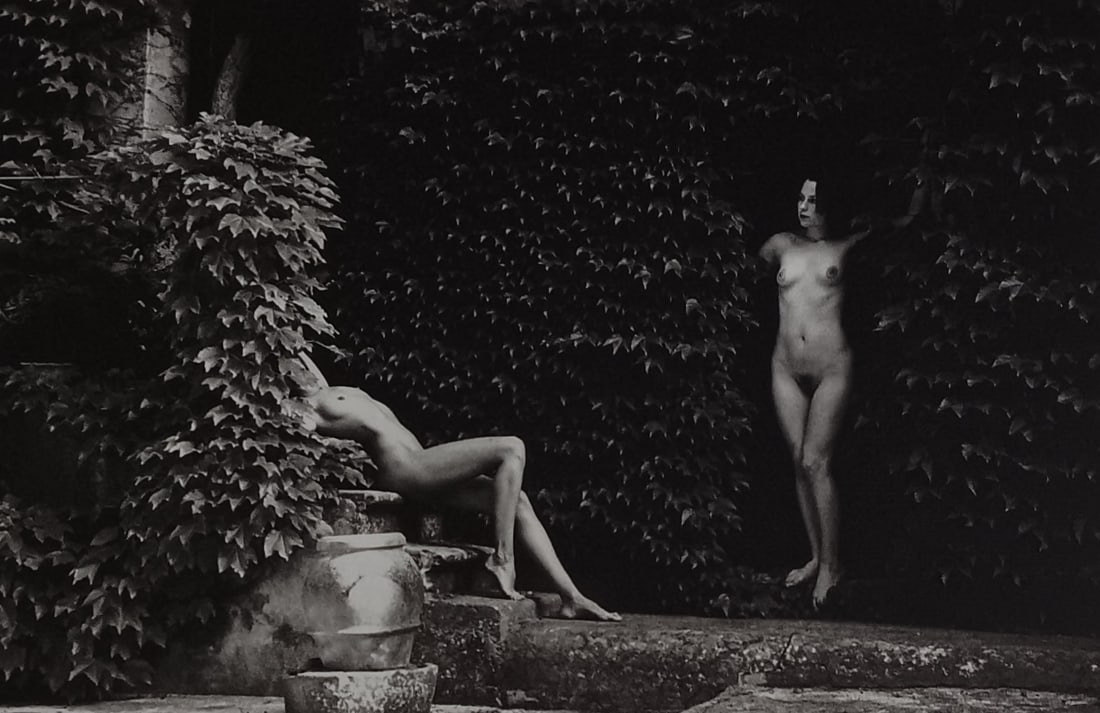 Manuela Schneider 'Exotic Fantasy' 2005: Artist/Photographer: Manuela Schneider Title/Subject: Exotic Fantasy Type Of Print: Authentic Sheet Fed Photogravure/Heliogravure. Date Of Print: 2005 Paper: Medium weight, satin/matte finish. Print O