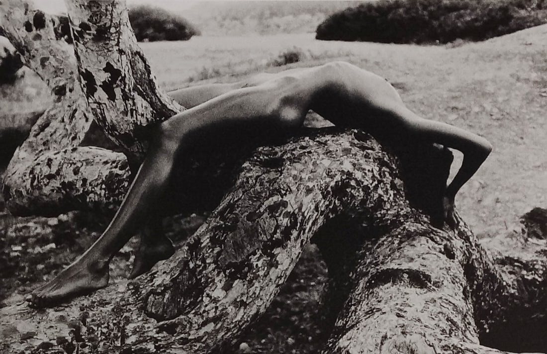 Manuela Schneider 'Exotic Fantasy' 2005: Artist/Photographer: Manuela Schneider Title/Subject: Exotic Fantasy Type Of Print: Authentic Sheet Fed Photogravure/Heliogravure. Date Of Print: 2005 Paper: Medium weight, satin/matte finish. Print O