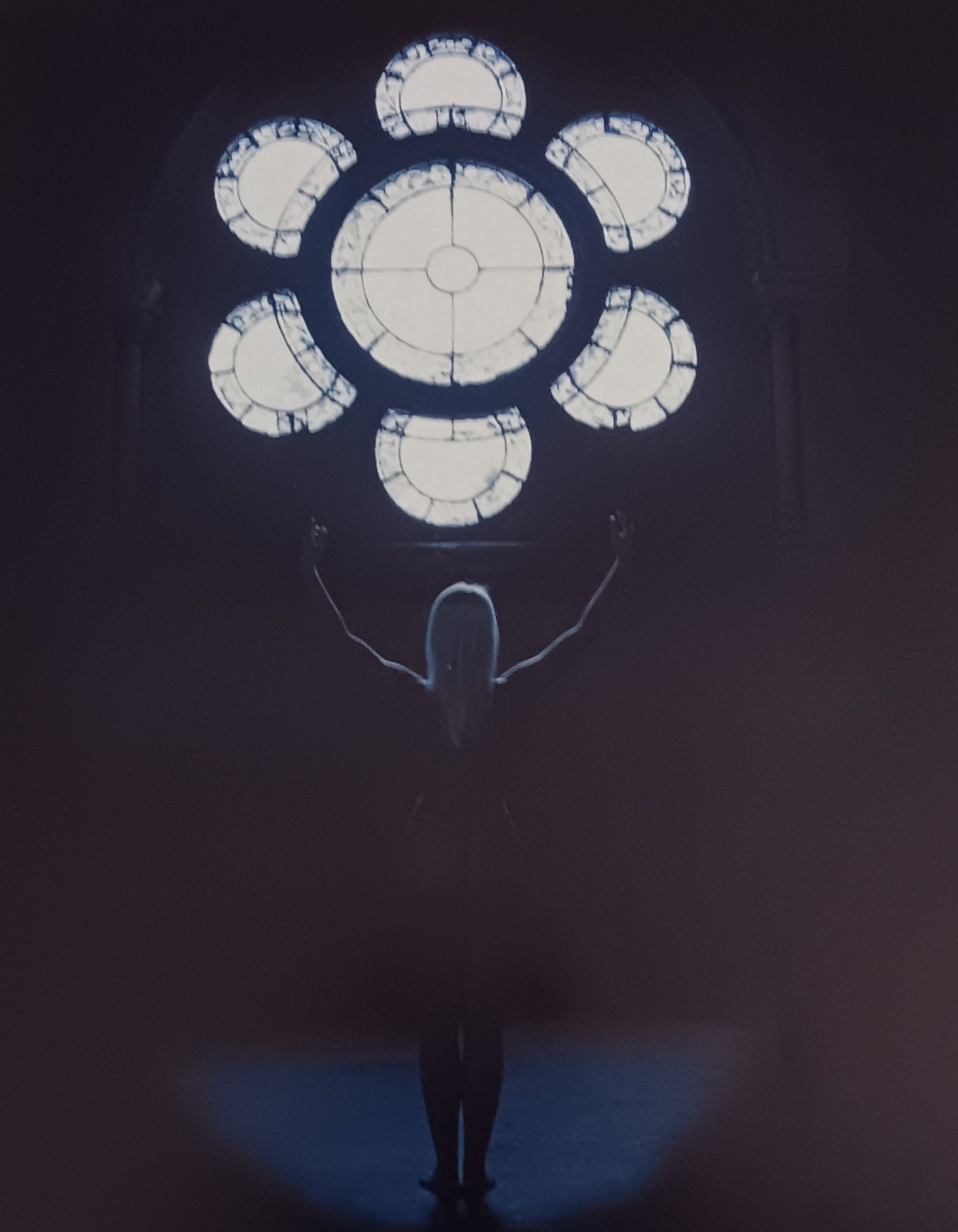 Manuela Schneider 'Exotic Fantasy' 2005 (1 of 1)