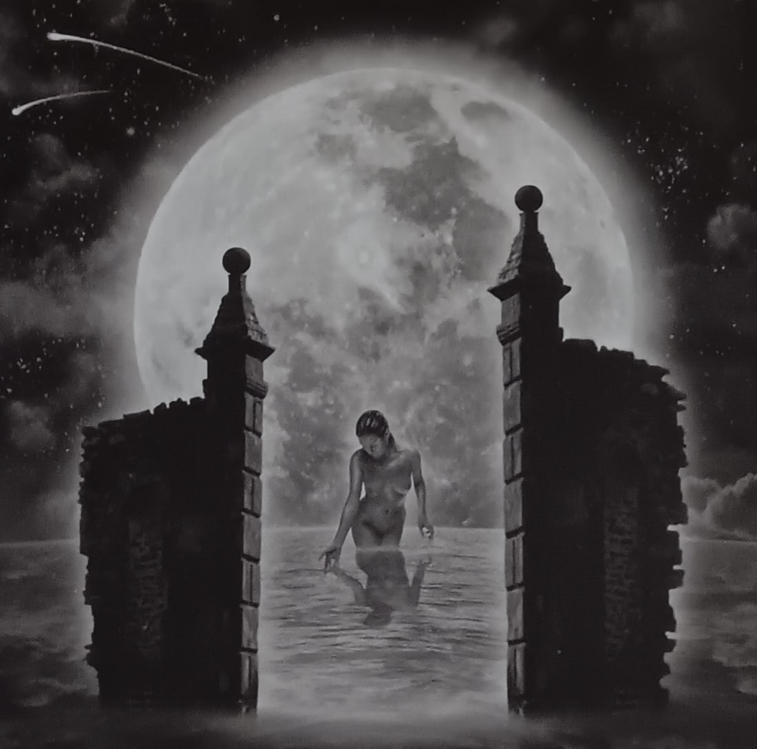 Vincent O'Byrne 'Exotic Fantasy' 2005: Artist/Photographer: Vincent O'Byrne Title/Subject: Exotic Fantasy Type Of Print: Authentic Sheet Fed Photogravure/Heliogravure. Date Of Print: 2005 Paper: Medium weight, satin/matte finish. Print Ori