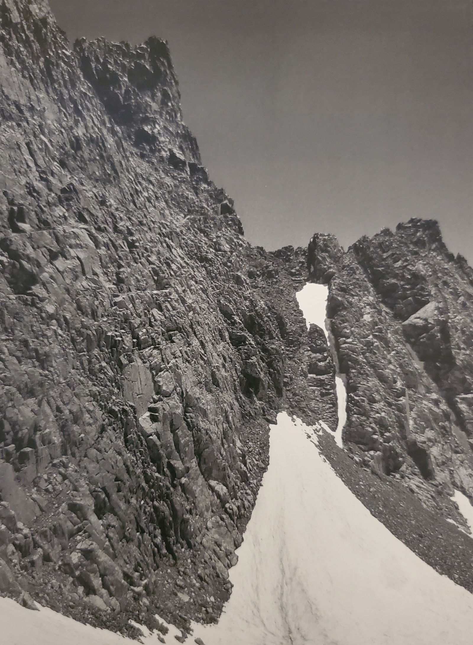 Ansel Adams, America's Nature, 2007 (1 of 1)