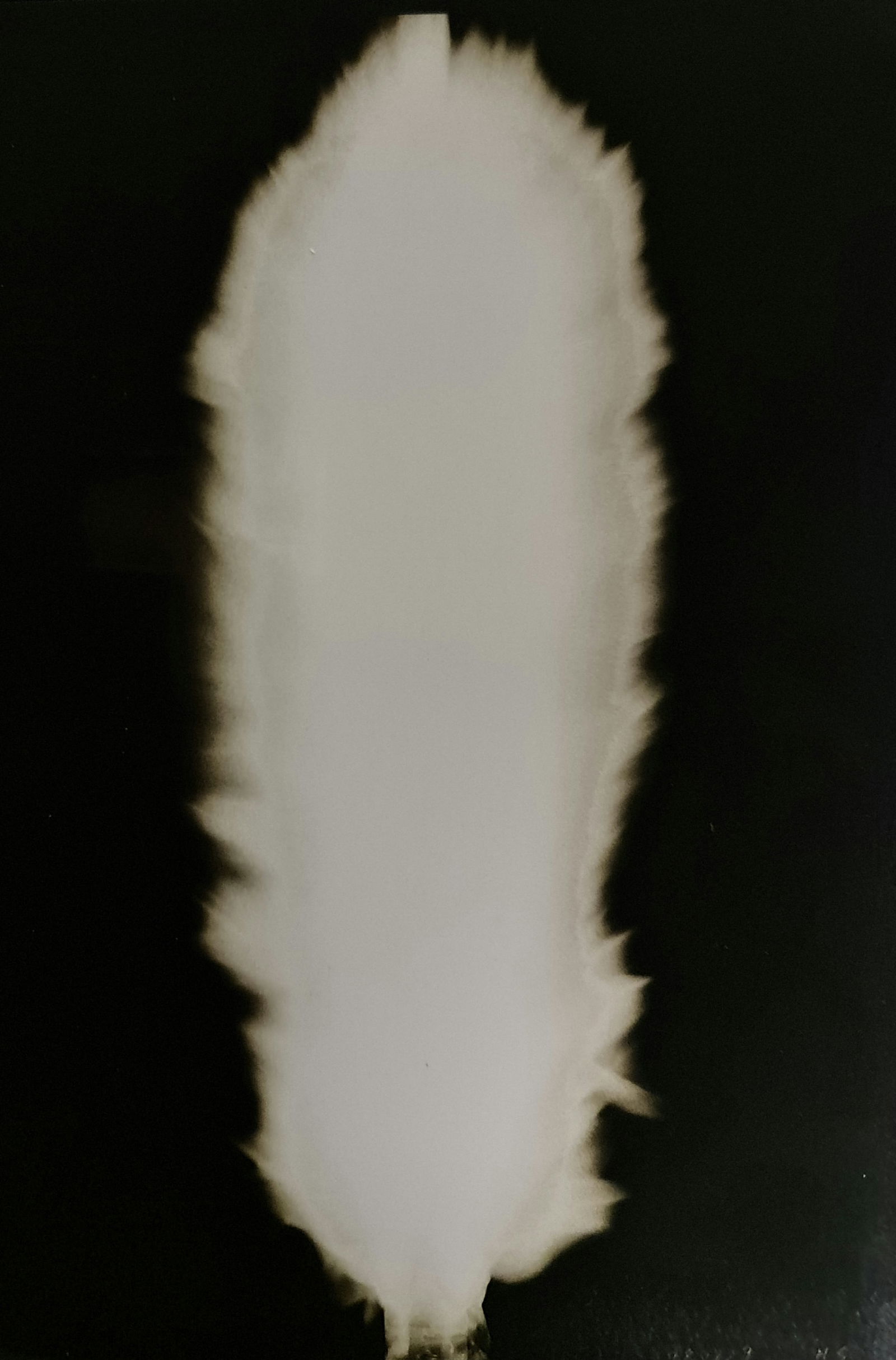 Hiroshi Sugimoto, In Praise of shadows, 980729: Artist Name: Hiroshi Sugimoto Size: 8.5 X 6 Type:First Edition. Print Year:1999 Printer: Korinsha Press Domesticating fire marks humankind's ascendancy over other species. For tens of thousands of yea