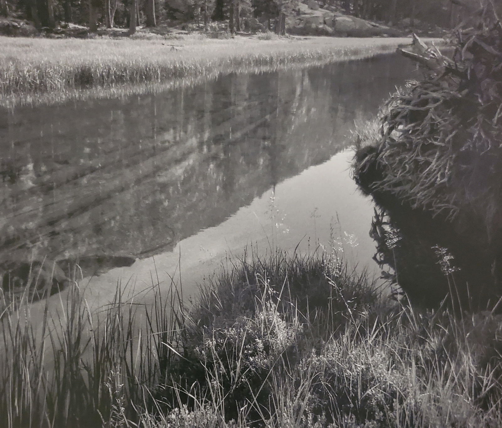 Ansel Adams, America's Nature, 2007 (1 of 1)