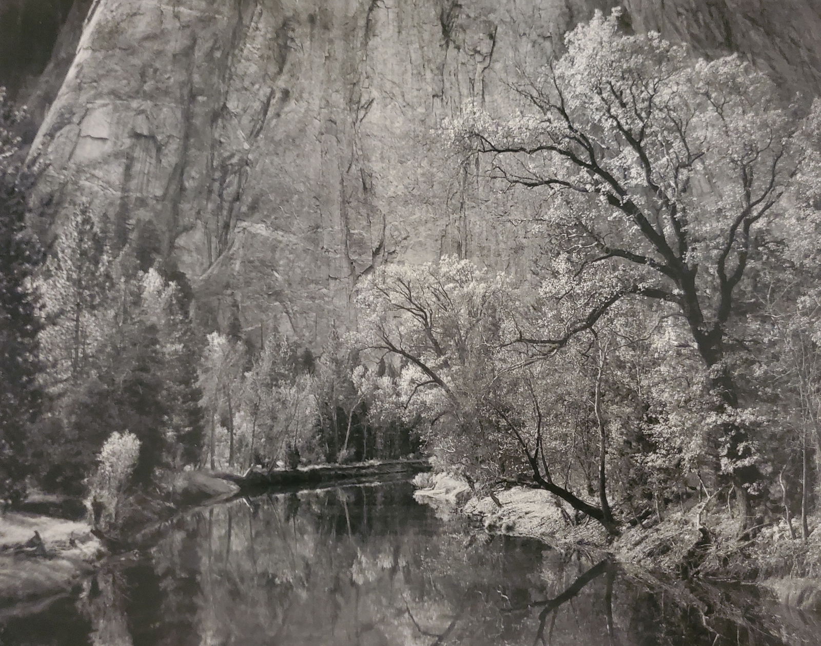 Ansel Adams, America's Nature, 2007 (1 of 1)