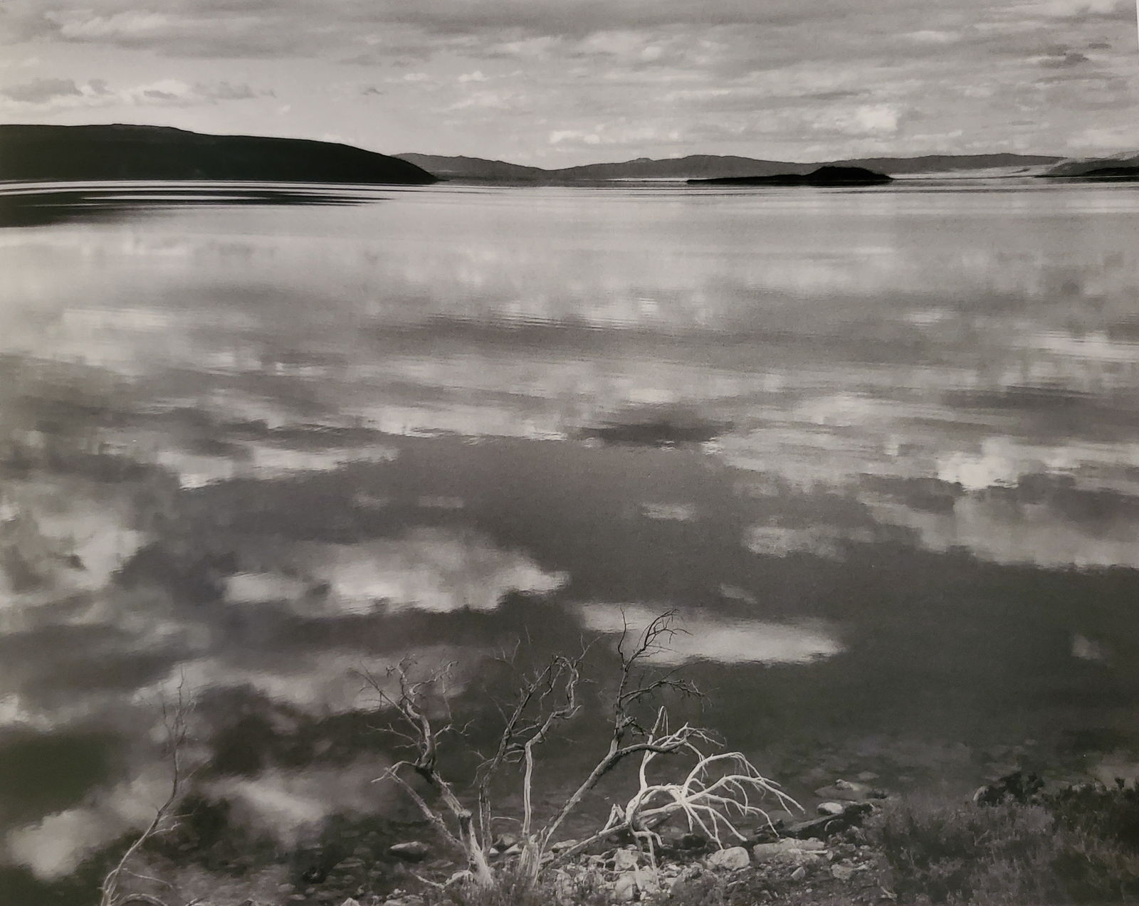 Ansel Adams, America's Nature, 2007 (1 of 1)