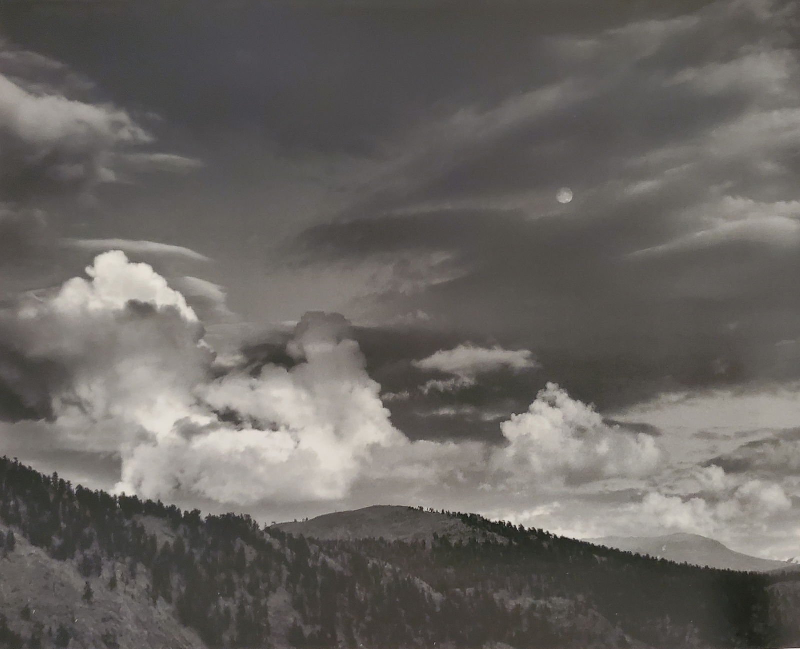 Ansel Adams, America's Nature, 2007 (1 of 1)