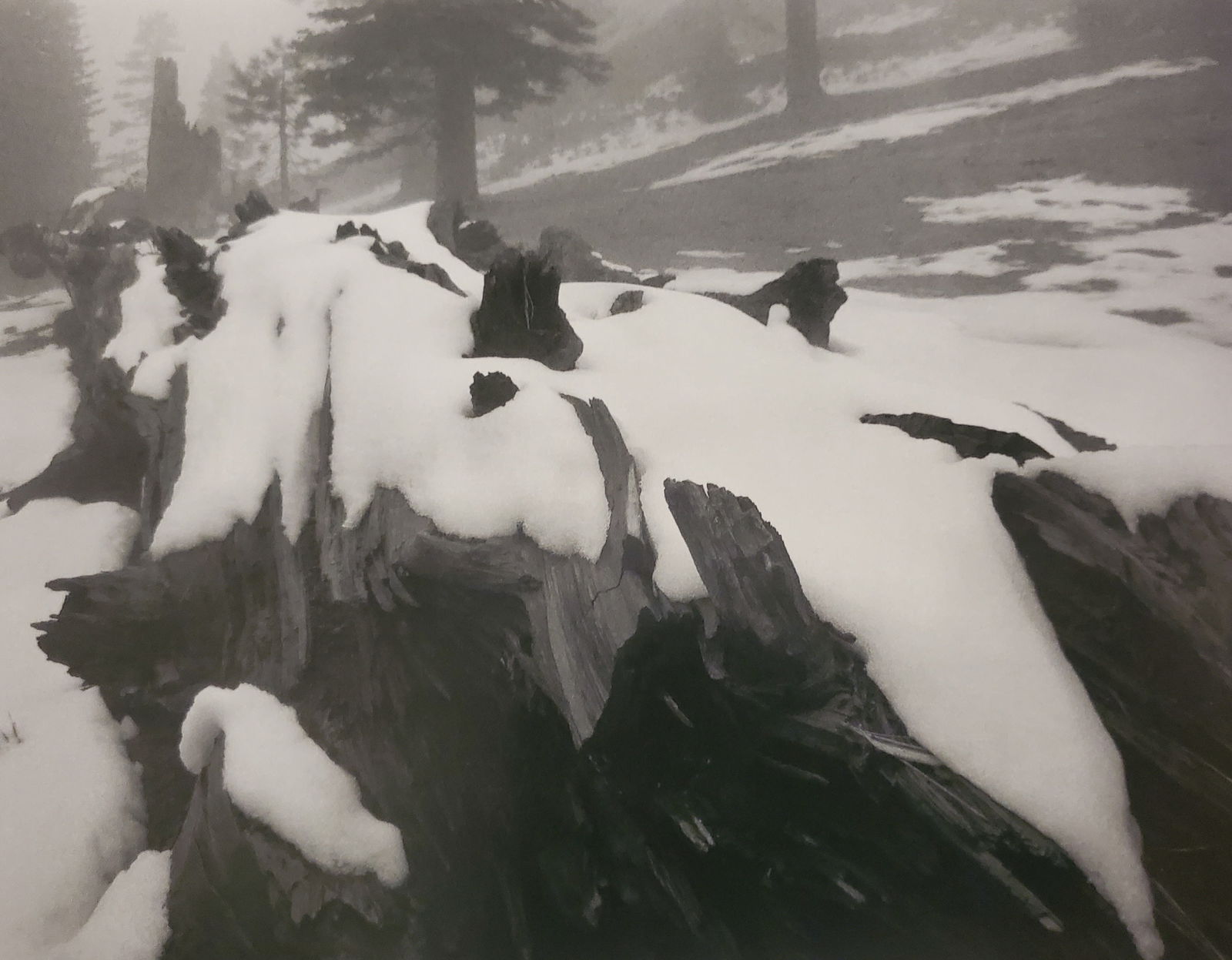 Ansel Adams, America's Nature, 2007 (1 of 1)